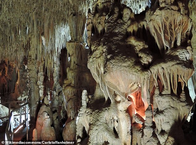 This image shows the elaborate mineral formations inside the Petralona Cave in Greece, which is open to tourists