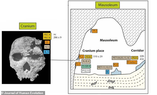 Assigning an age to the nearly complete cranium found in the Petralona Cave in Greece is of 'outstanding importance' because this fossil has a key position in European human evolution