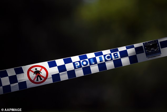 A man and woman were stabbed in front of children during a terrifying home invasion in a horrific case of mistaken identity (stock image)