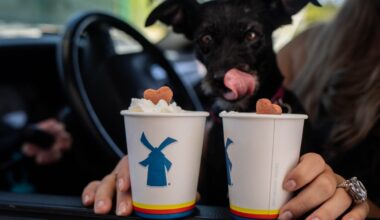Dutch Bros could soon open in a Chicago suburb – NBC Chicago