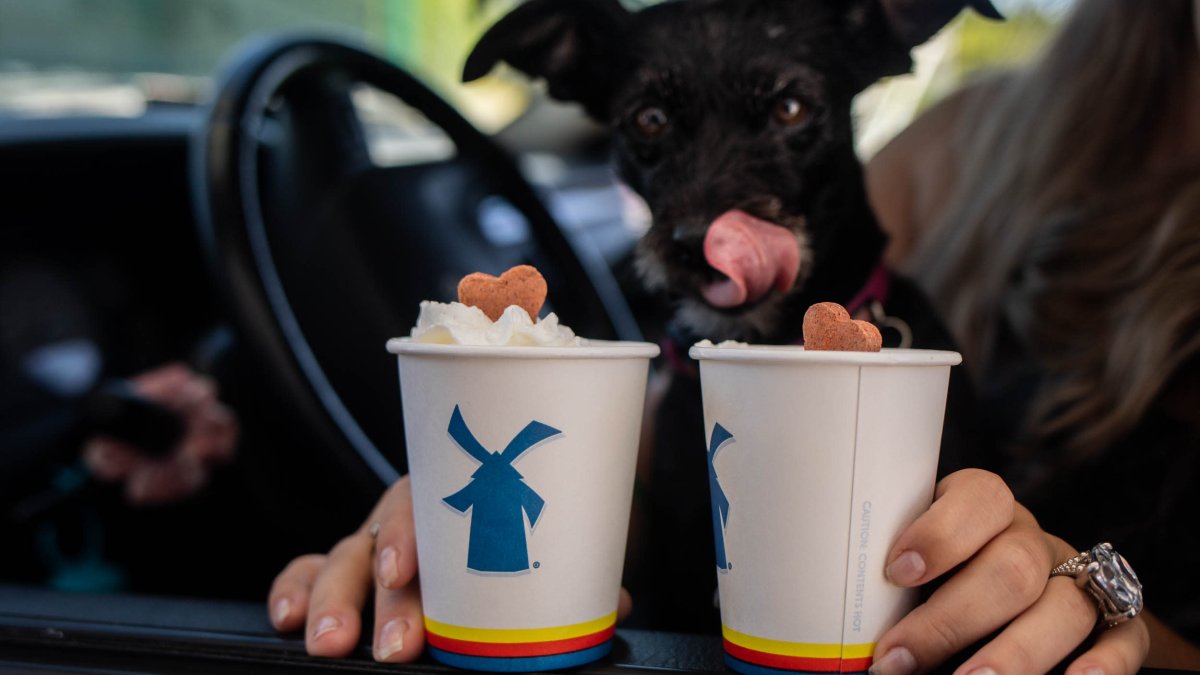 Dutch Bros could soon open in a Chicago suburb – NBC Chicago