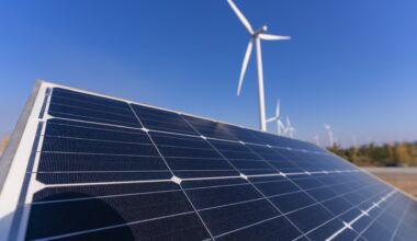 Solar executives say Trump attack on renewables will lead to power crunch