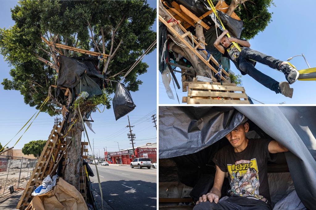 Homeless LA man vows to rebuild viral treehouse after city tore it down