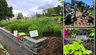 NYC's 'Garden of Hate' takes case to federal court, rips judge, 'scurrilous' NY Post coverage