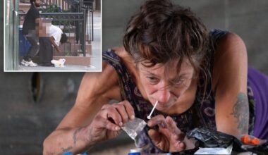 Safe injection site brings daytime public sex to East Harlem: 'Getting my own porno show'