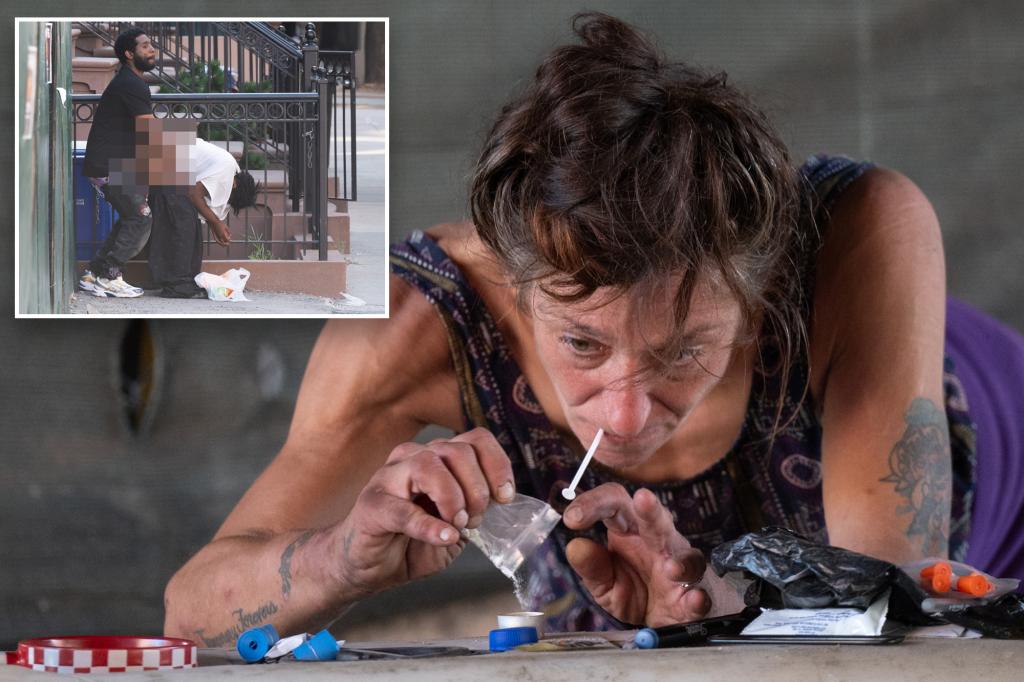 Safe injection site brings daytime public sex to East Harlem: 'Getting my own porno show'