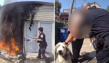 NYC cops battle flames to save residents, barking dog in Coney Island