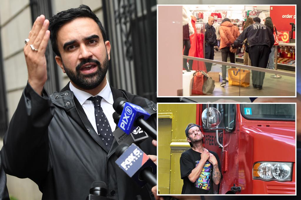 NYC mayoral candidate Zohran Mamdani wants to end all misdemeanor charges: 'E-ZPass for criminals'