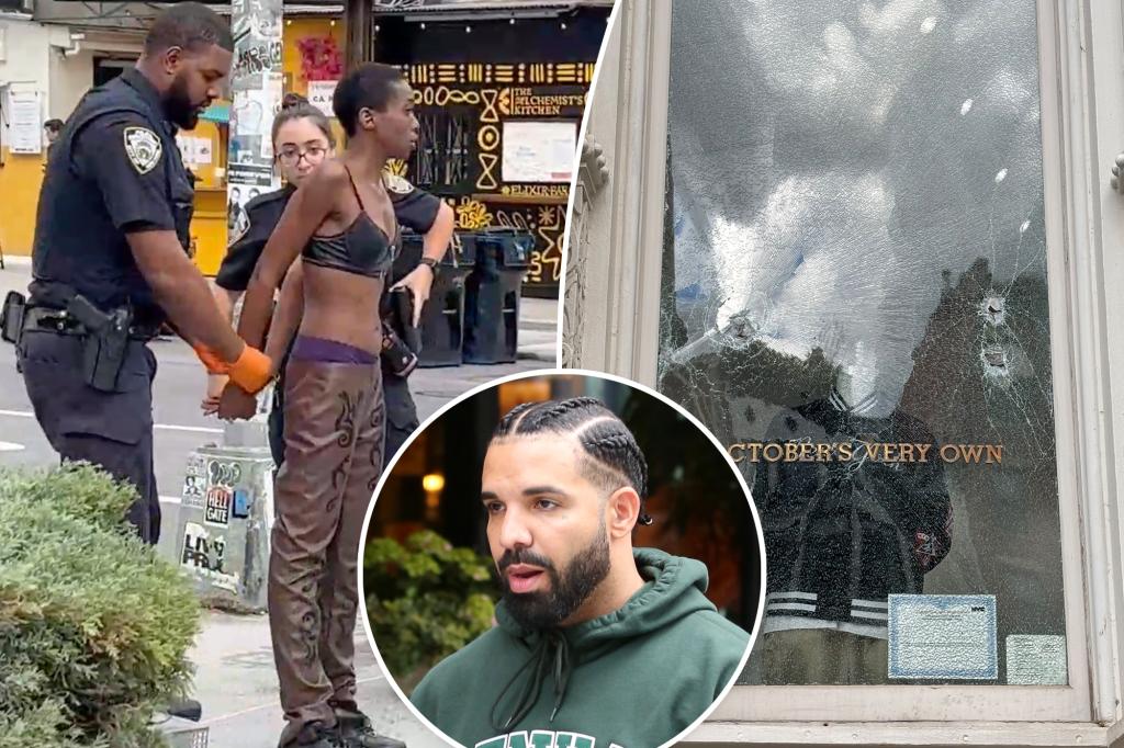 Cops say woman trashed Drake's New York store with hammer, did $24,000 in damage