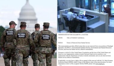 Bondi fires DOJ staffer who flipped off National Guard in DC — and was seen boasting about it