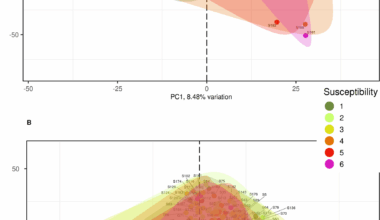 Holobiont-based genetic analysis reveals new plant and microbial markers for resistance against a root rot pathogen complex in pea | BMC Plant Biology