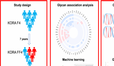 Longitudinal study reveals plasma glycans associations with prediabetes/type 2 diabetes in KORA study | Cardiovascular Diabetology