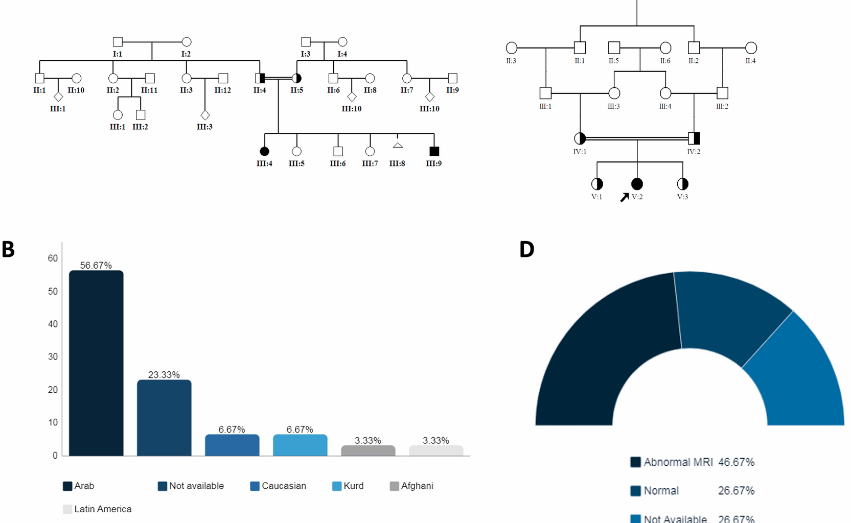 Natural history of SPTBN4-related neurodevelopmental disorder with hypotonia, neuropathy, and deafness | Orphanet Journal of Rare Diseases