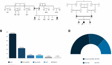 Natural history of SPTBN4-related neurodevelopmental disorder with hypotonia, neuropathy, and deafness | Orphanet Journal of Rare Diseases