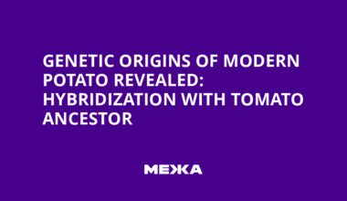 Genetic Origins of Modern Potato Revealed: Hybridization with Tomato Ancestor
