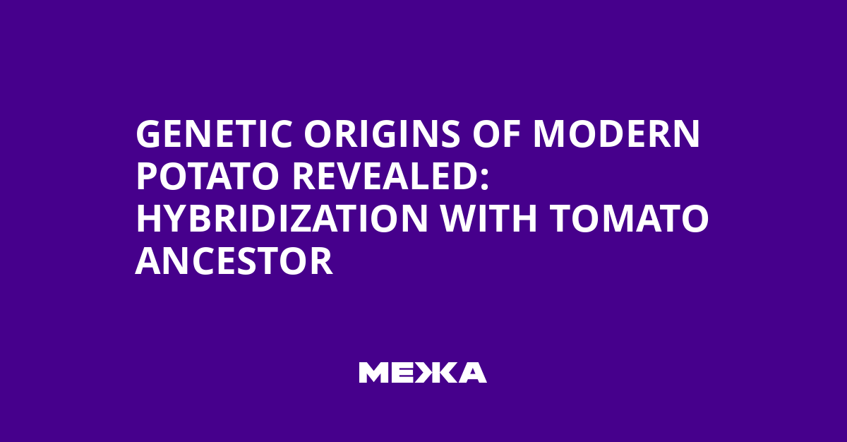 Genetic Origins of Modern Potato Revealed: Hybridization with Tomato Ancestor