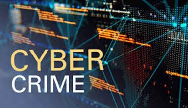 Almost half of Australian internet users, victims of cybercrime: Govt report