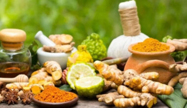 Kerala setting up Rs 400 crore international Ayurveda research centre in Kannur: Veena George