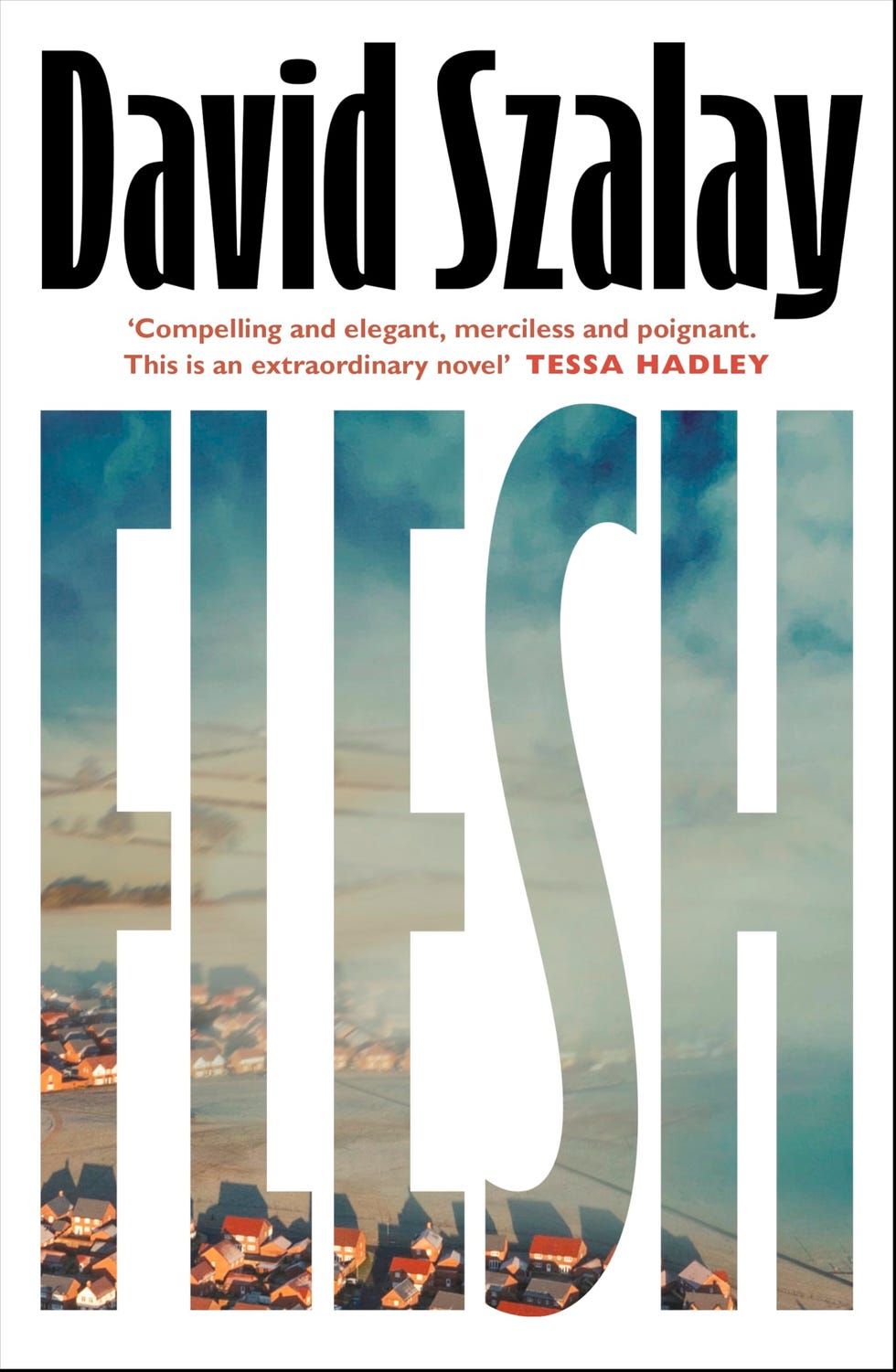 Flesh by David Szalay 