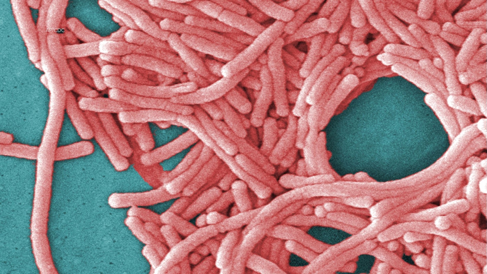 Harlem Legionnaires' outbreak: 2 people dead among 58 diagnosed in outbreak since July 25