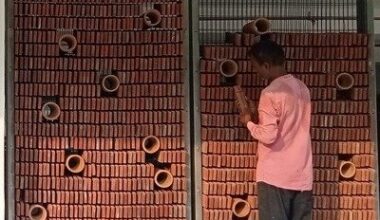 Architect Develops a Passive Cooling System Inspired by Anthills