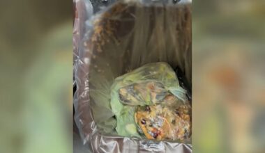 NYC composting issues: Superintendents, residents say compost left outside bakes in summer heat, attracts mice, maggots