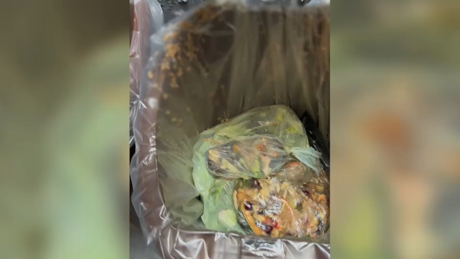 NYC composting issues: Superintendents, residents say compost left outside bakes in summer heat, attracts mice, maggots