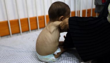 Gaza: ‘No one should ever be forced to risk their life to find food,’ says UN humanitarian agency