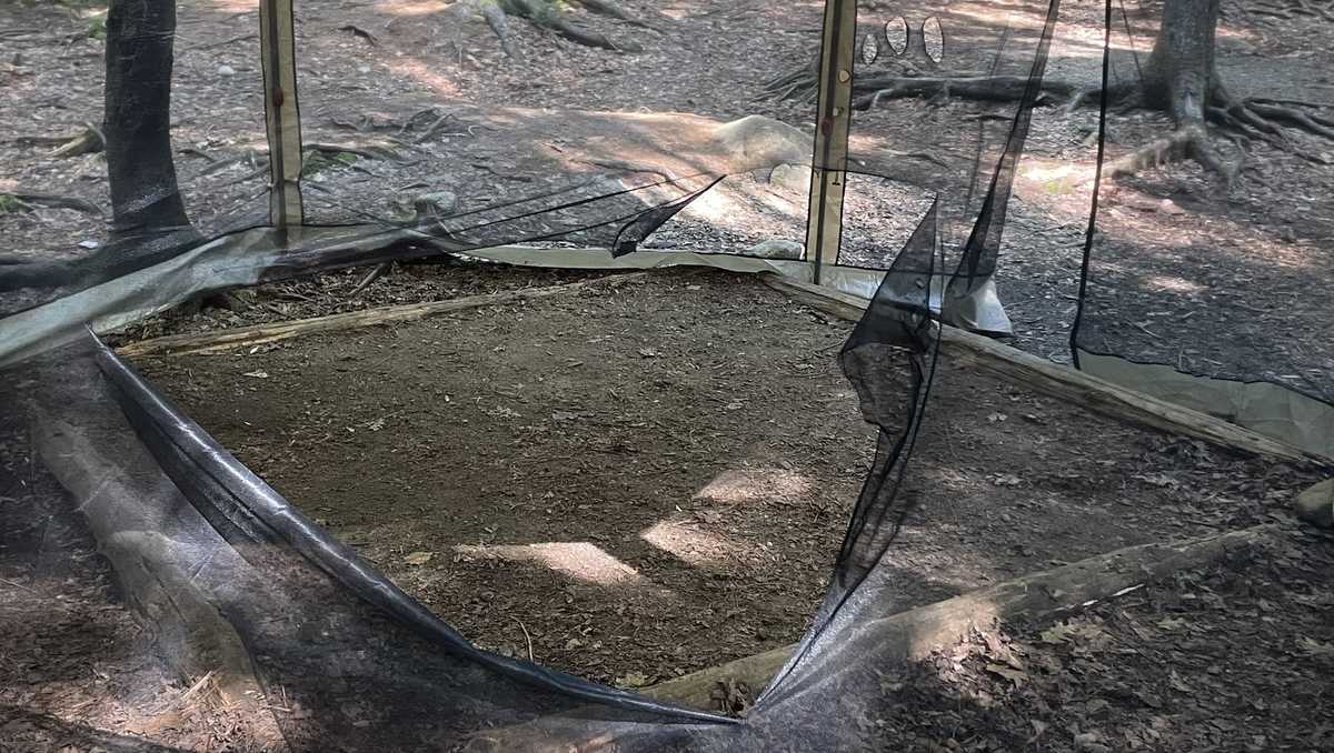 Franconia Brook Tentsite closed in Lincoln, NH, because of bear