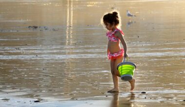 Seasonal temperatures and sunny afternoons in weekend forecast