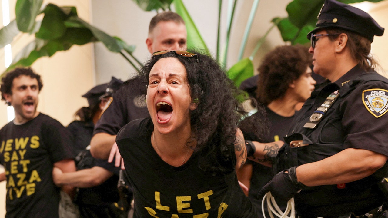 Anti-Israel protesters arrested at Schumer, Gillibrand NYC offices