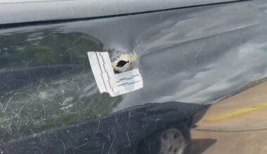 Rosenberg, TX: Deadly Blume Road shooting