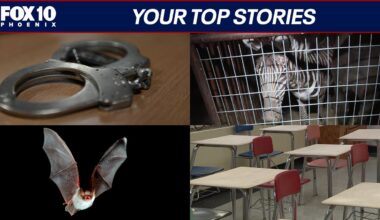 Woman arrested after shocking find in her suitcase; Phoenix school to close temporarily | Nightly Roundup