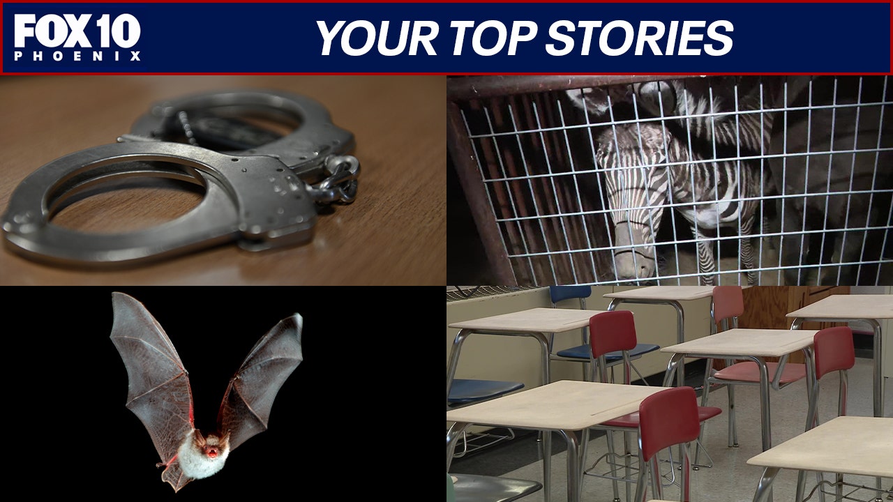 Woman arrested after shocking find in her suitcase; Phoenix school to close temporarily | Nightly Roundup