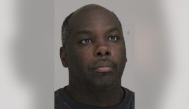 8 dogs rescued from Dallas 'dog-fighting environment,' man arrested