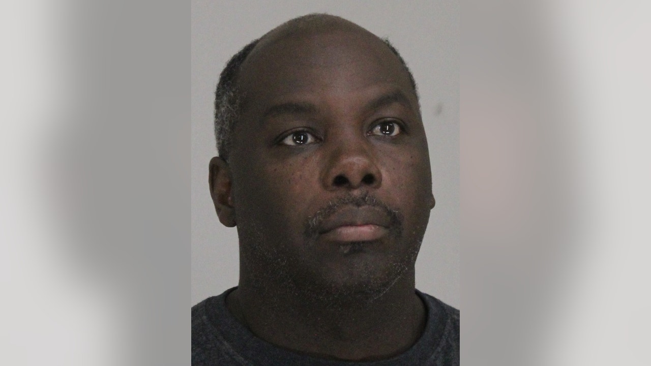 8 dogs rescued from Dallas 'dog-fighting environment,' man arrested