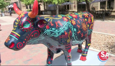 The herd is on the MOOve! How you can take CowParade cows home