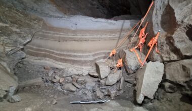 Scientists uncover 75,000-year-old Arctic animal remains in Norwegian cave