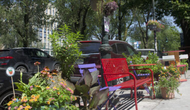 Eastern Parkway Named 2025 Greenest Block in Brooklyn