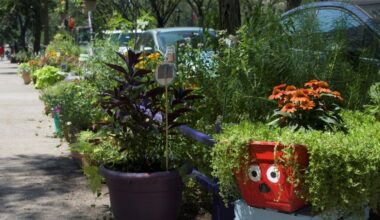 Brooklyn Botanical Garden announces Greenest Block in Brooklyn – NBC New York