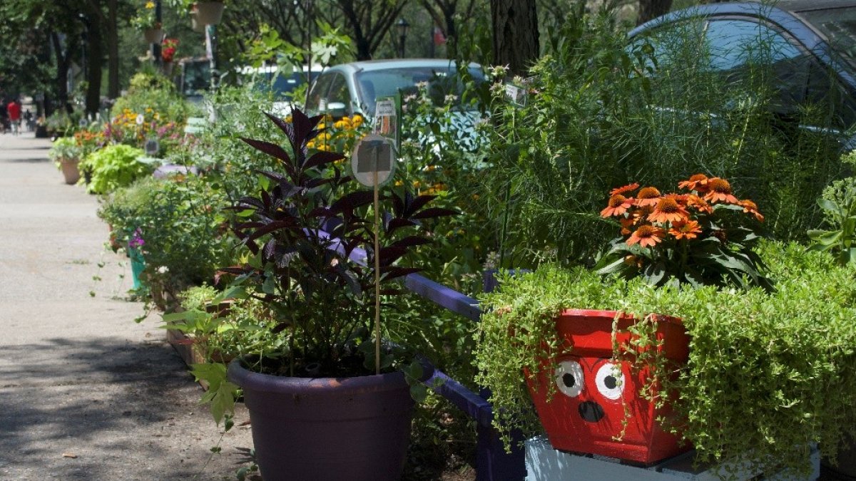 Brooklyn Botanical Garden announces Greenest Block in Brooklyn – NBC New York
