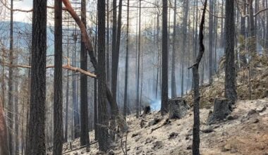 New evacuation alert issued for Wesley Ridge wildfire on Vancouver Island