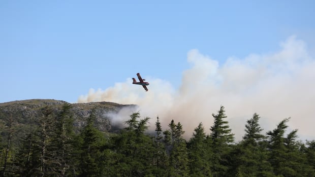 Police investigating wildfires as evacuation orders expand across Conception Bay