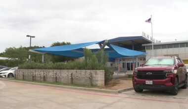 Dallas Animal Services limits dog intake amid distemper outbreak