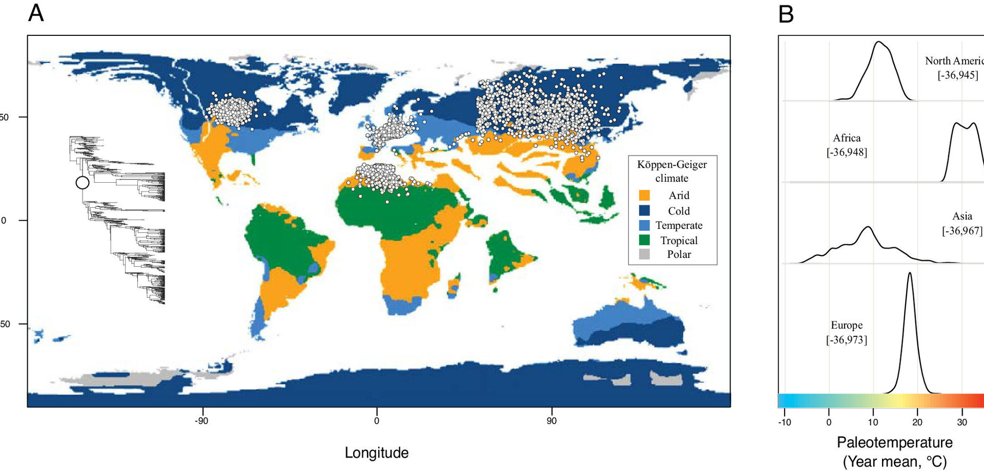 Fossil evidence reveals early primates evolved in cold climates, not tropical forests