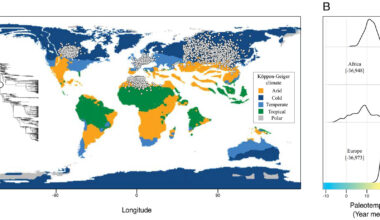 Fossil evidence reveals early primates evolved in cold climates, not tropical forests