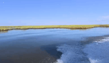 Louisiana scraps coastal erosion project designed to rebuild the state's wetlands
