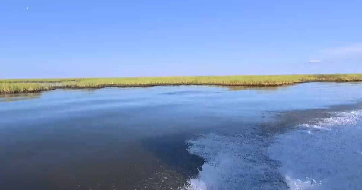 Louisiana scraps coastal erosion project designed to rebuild the state's wetlands
