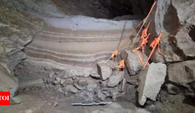Ancient DNA reveals 75,000-year-old animal remains in Norway: PNAS study |