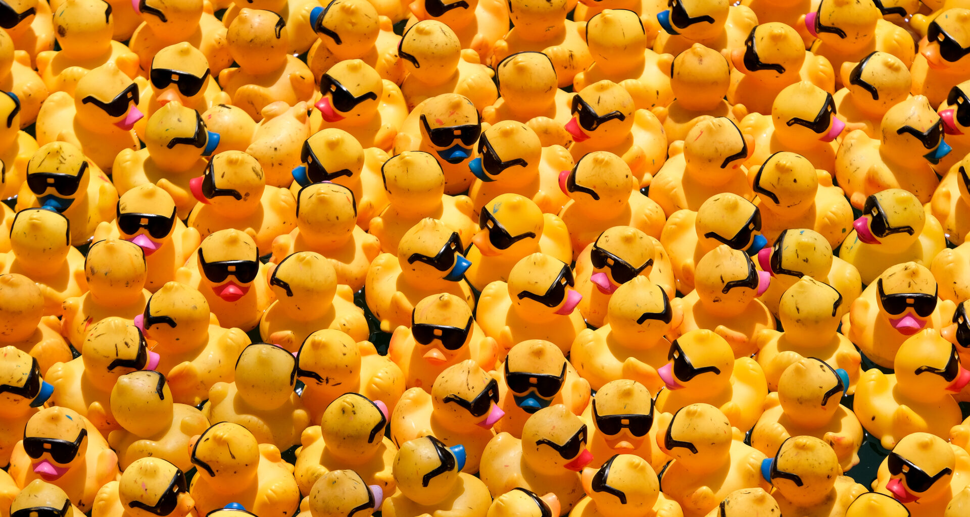 The Chicago Ducky Derby Brings 100,000 Rubber Ducks to the Chicago River